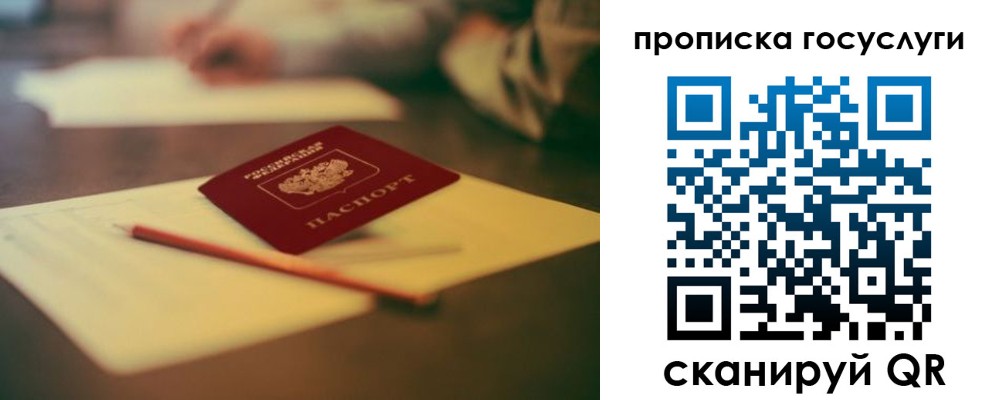 прописка для школы в Дальнегорске
